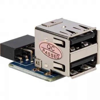 DELOCK pistik 1 x 9-kontaktiline 2,54 mm / 2 x USB 2.0-A 41825