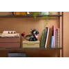 LEGO ICONS 10375 How to Train Your Dragon: Toothless