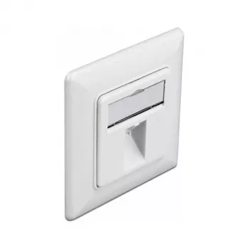 Seinapistikupesa Keystone 1 port DeLOCK 86981