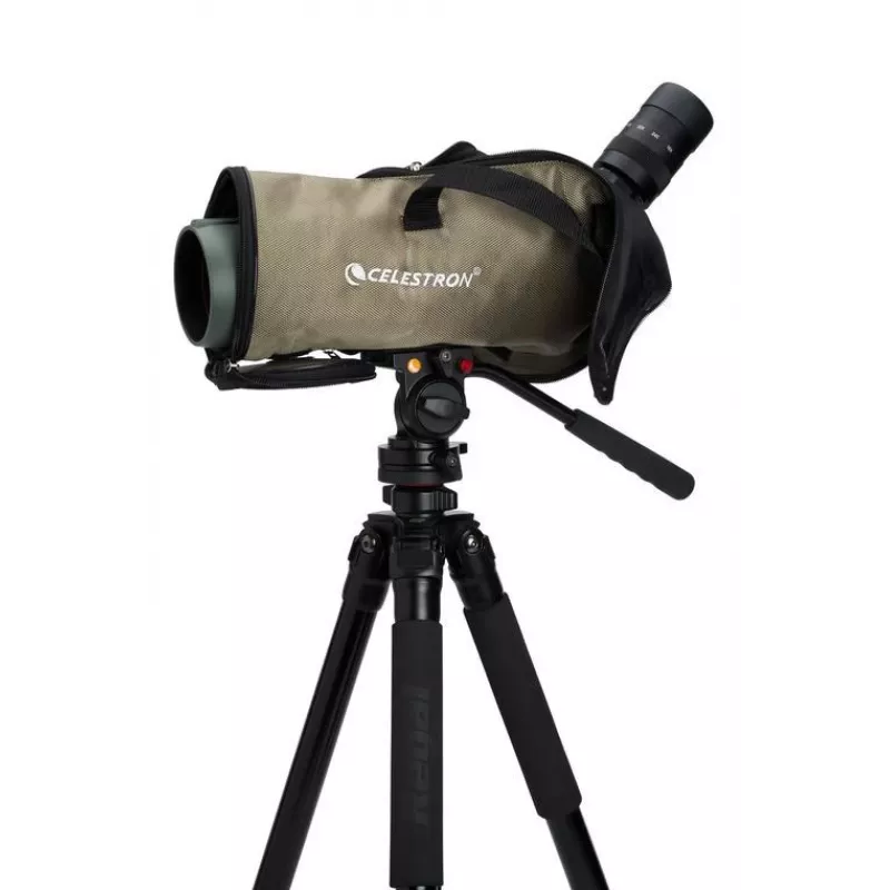 Celestron Regal M2 65ED vaatlusskoop 48x BaK-4 Must, Roheline