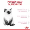 Kuiv kassitoit Royal Canin Kitten 10 kg – kana, 36% valku, 18% rasva, kassipoegadele ja tiinetele/imetavatele emastele