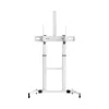 Sbox FS-3610 Põranda ülisuur LED-teleri alus 60-100 100kg Valge
