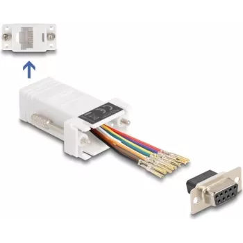 DeLOCK D-Sub 9 emane RJ45 emasele koostekomplekt valge VGA RJ-45