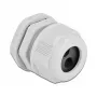 Kaabelliitmik DeLOCK 60372 Hall Plastik 2 tk