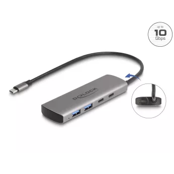 USB Hub DeLOCK 64299