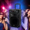 Kaasaskantav karaokekõlar MANTA SPK5021PRO 20W, 12-tolline bassikõlar, 80W RMS, Bluetooth, aku kuni 5h, SD/USB, mikrofoni- ja kitarrisisendid