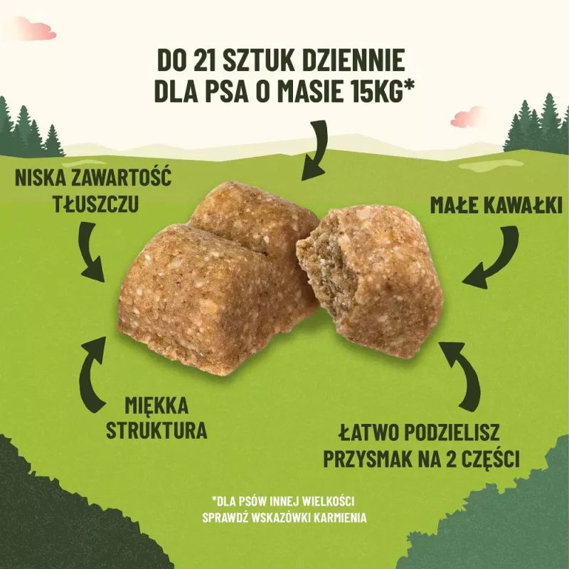 PURINA Adventuros Training lõhe - koeramaius - 40g
