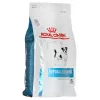 Kuiv koeratoit Royal Canin Hypoallergenic Small Breed 3,5 kg — täiskasvanud väikesed koerad, valk 24%, rasv 16%