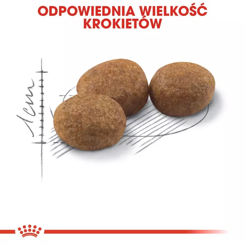 Royal Canin Sterilised 37 kasside kuivtoit 400 g täiskasvanud linnulihaga