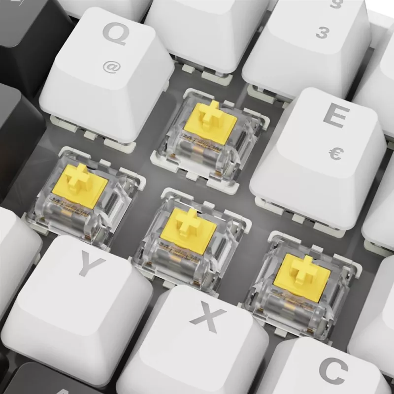 Sharkoon SGK50 S4 klaviatuur Kodu USB QWERTZ Saksa Valge RGB LED 60%