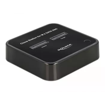 DeLOCK 64178 dokkimisjaam USB 3.2 Gen 2 USB-C SSD M.2