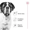 ROYAL CANIN Giant Adult - kuiv koeratoit - 15 kg