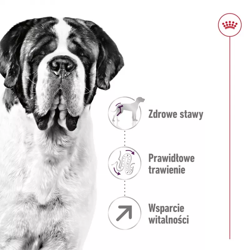 ROYAL CANIN Giant Adult - kuiv koeratoit - 15 kg