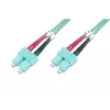 DIGITUS Professional - Pistikukaabel - SC multi-mode (M) kuni SC multi-mode (M) - 2 m - Fiiberoptika - 50/125 mikromeetrit - OM3 - Halogeenivaba - akvamariin