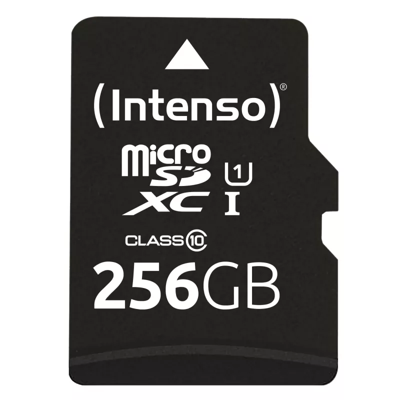Välkmälu Intenso 256GB UHS-I microSD Performance Class 10