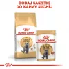Kuiv kassitoit Royal Canin British Shorthair Adult 2 kg — linnuliha, 34% valku, 19% rasva