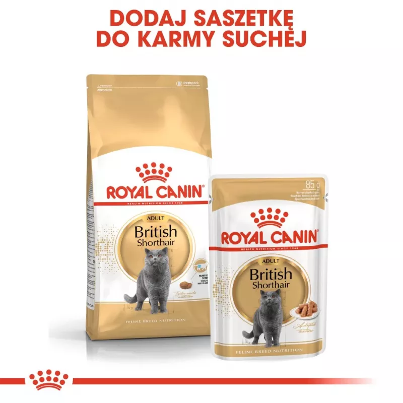 Kuiv kassitoit Royal Canin British Shorthair Adult 2 kg — linnuliha, 34% valku, 19% rasva