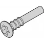 SCHROFF Torx poolpeakruvi - NTS LISESHR TORX3.0X20 100 tk (24812501)