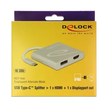 USB-graafikaadapter DeLOCK 87716 2560 x 1440 pikslit Hõbedane