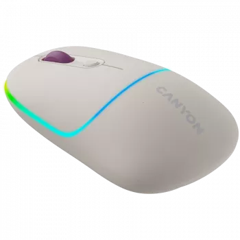CANYON hiir MW-22 2-in-1 BT/Wireless Rice
