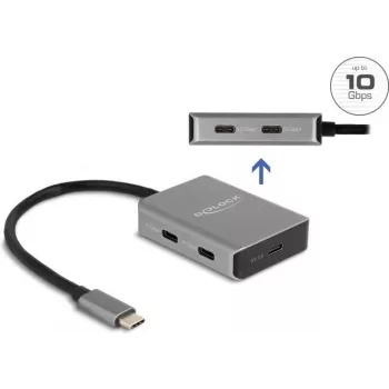 USB USB-C Hub DeLOCK 64249 10000 Mbit/s Must Hall