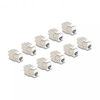 DeLOCK 88119 võtmemoodul lame valge RJ-45 10 tk