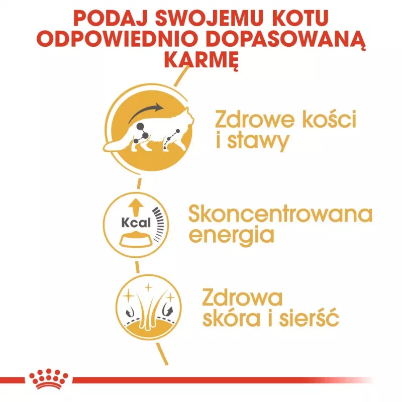 ROYAL CANIN FBN Maine Coon - kassikonserv - kotike 12x 85g