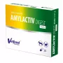 Vetfood AMYLACTIV DIGEST MINI seedeensüümid – toidulisand, 30 kapslit kassidele ja koertele
