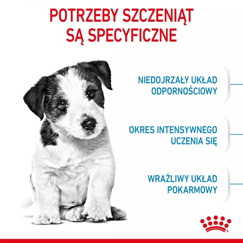 ROYAL CANIN Mini Puppy SHN kuiv koeratoit 2 kg