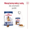Royal Canin Maxi Adult 5+ kuivtoit koertele, 15 kg