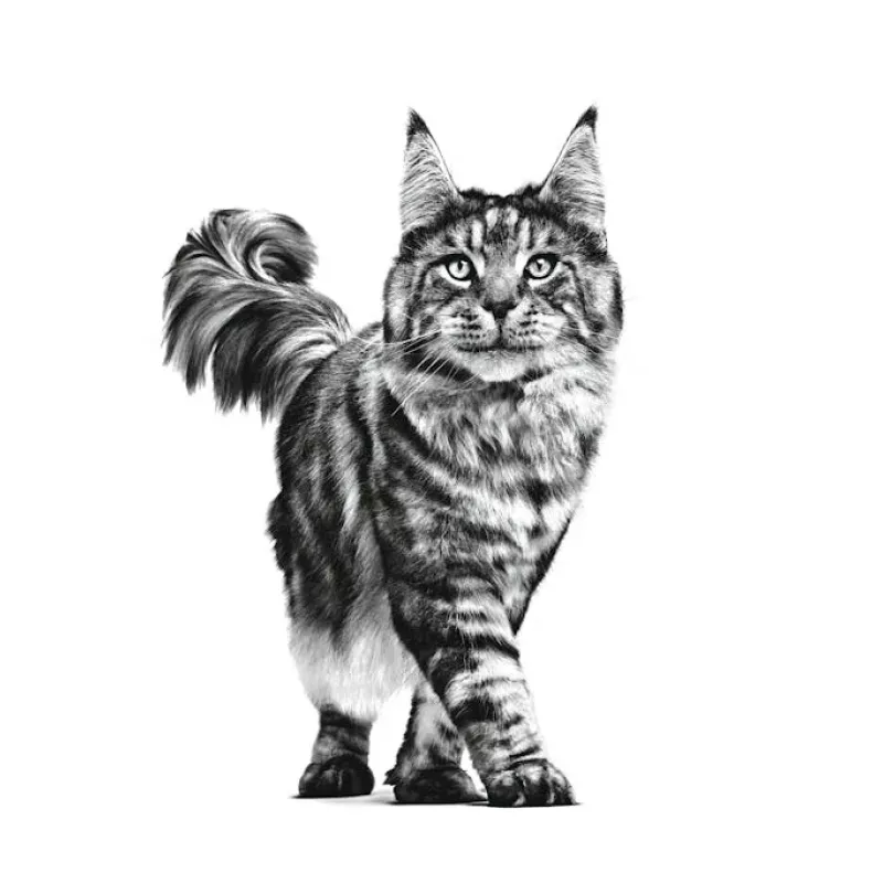 ROYAL CANIN Cat Gastrointestinal VHN - kuiv kassitoit - 400 g