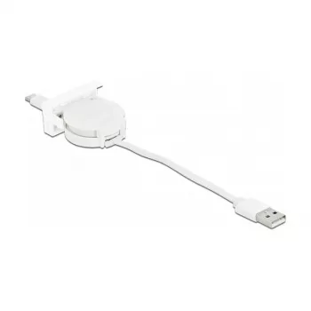 Sissetõmmatav kaabel DeLOCK Easy 45 USB 2.0 Type-A to USB-C 0.62m