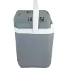 Cool Box Campingaz Powerbox Plus 28 L Electric hall