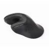 Gembird MUSW-ERGO-03 hiir Kodu Paremakäeline RF Juhtmevaba Optiline 1600 DPI