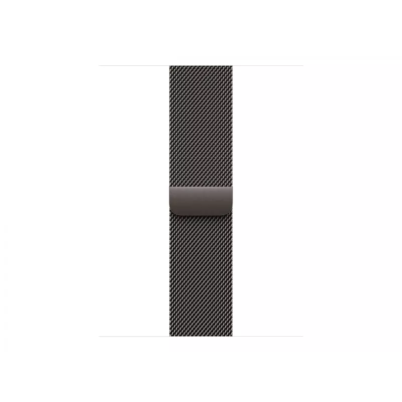 Apple MGHX4ZM/A nutikellarihm kiltkivist värvi roostevaba teras