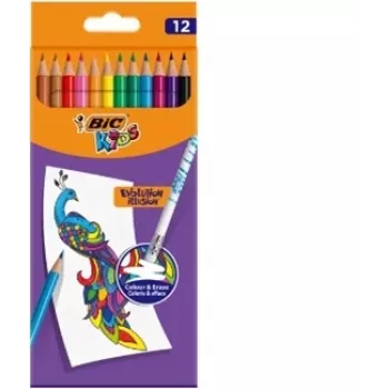 Värvipiliats BIC 987868 Mitmevärviline 12 tk