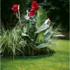 Gardena 536-20 aiaäärisrull, plastikust, roheline (536)