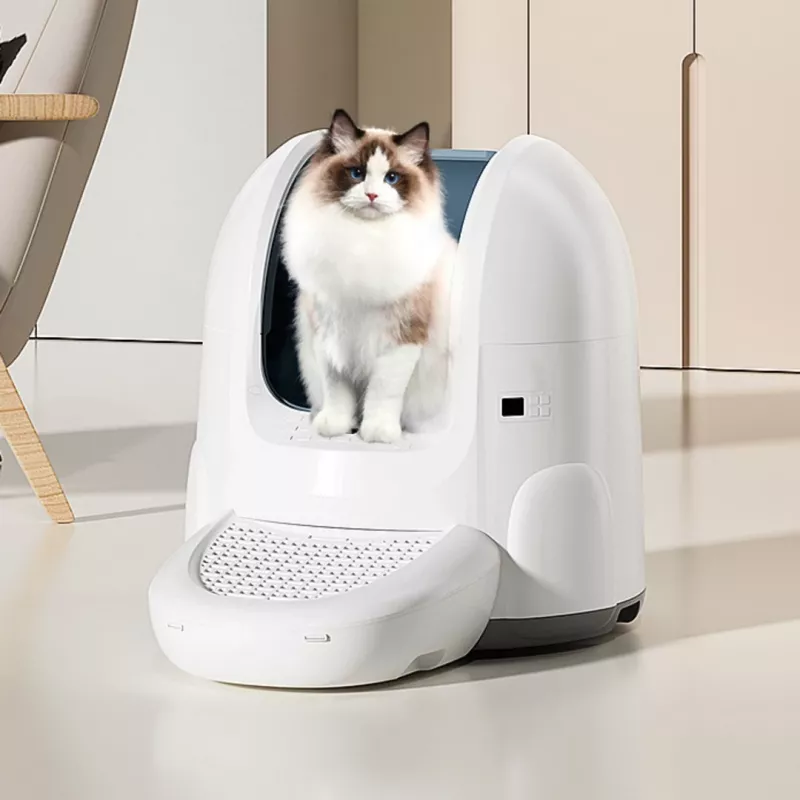 Isepuhastuv kassiliivakast Sponge Pet Litter Box by Sponge SPETLB00001