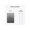 Apple iPad 11-tolline Air Wi-Fi + Cellular 128GB - Kosmosehall