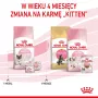 Kuiv kassitoit Royal Canin Mother & Babycat 2 kg — kana, tiinetele, imetavatele emakassidele ja kassipoegadele (Junior)