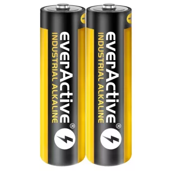 Ühekordne leelispatarei everActive EVLR6S2IK AA 1,5 V — pakendis 40 tk
