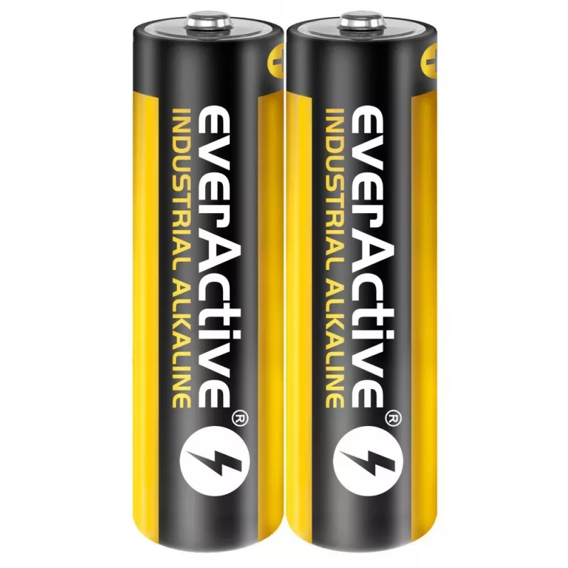 Ühekordne leelispatarei everActive EVLR6S2IK AA 1,5 V — pakendis 40 tk