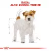 ROYAL CANIN Jack Russell Adult kuiv koeratoit - 1.5 kg