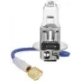 Halogeenpirn IWH H3 55W 12V IWH 019353 – autode ühekiireline lamp