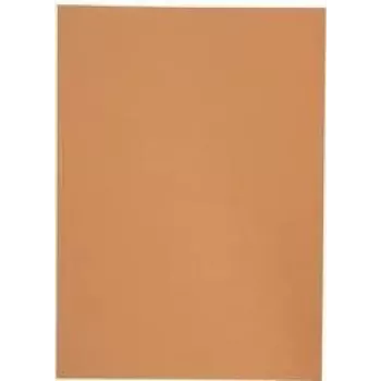 Elba 100091654 kaustakarp oranž A4 (100091654)