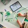 LEGO BOTANICALS 11508 Karikakrad