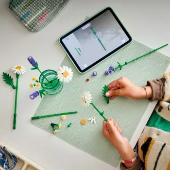 LEGO BOTANICALS 11508 Karikakrad