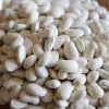 Seemnepakend Seklos LT PNOS — kuivad oad 'Igłomska' seemned, 50 g