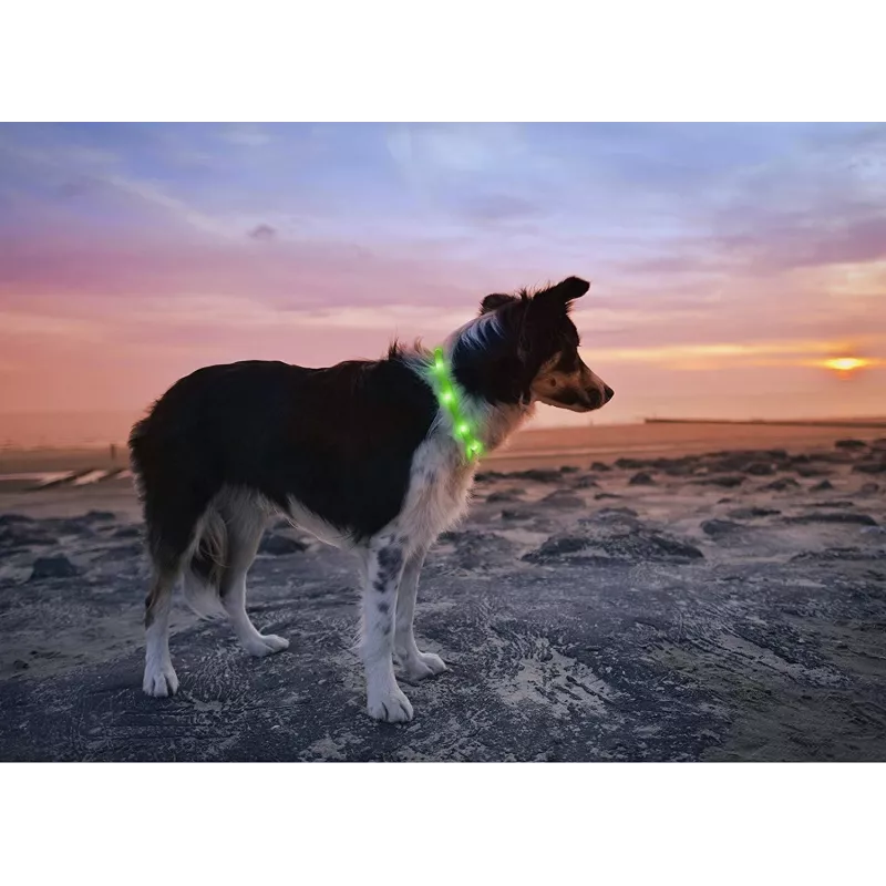 LED-krae Anicoll roheline koertele ja kassidele mudel laetav valgustus