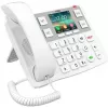IP-telefon Fanvil X305 valge